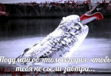 brachnai_dogovor_RF